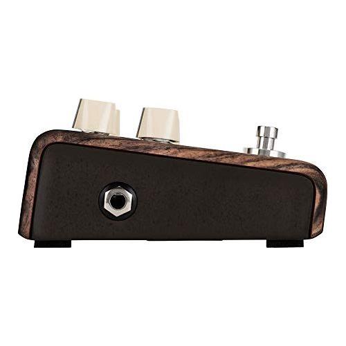LR Baggs Align Chorus Acoustic Chorus Pedal with Analog Circuit and Blend Controls New