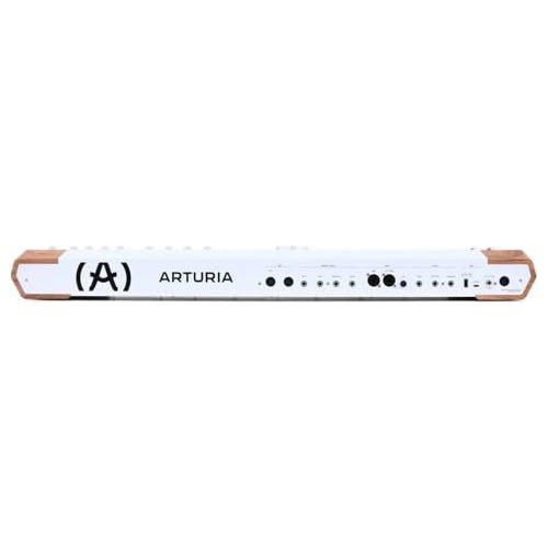 Arturia AstroLab Avant-garde 61-Key Stage Keyboard Bundle w/Pig hog PMID06 6ft MIDI Cable, Liquid Audio Sustain Pedal and Liquid Audio Polishing Cloth