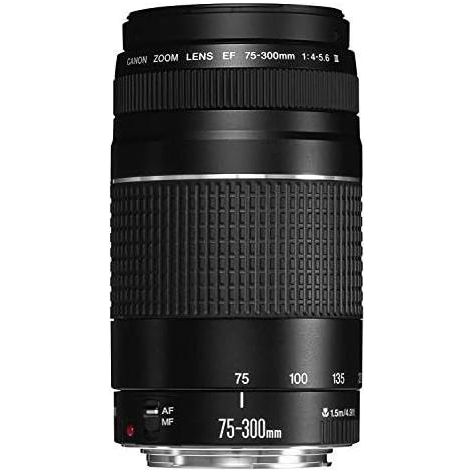 Canon EF 75-300mm f4-5.6 III Telephoto Zoom Lens for Canon SLR Cameras