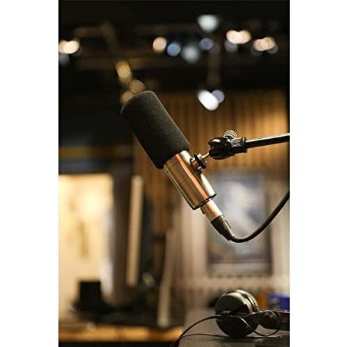 Earthworks ETHOS Streaming and Broadcasting Microphone Silver