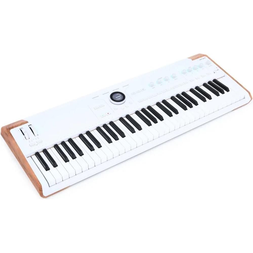 Arturia AstroLab Avant-garde 61-Key Stage Keyboard Bundle w/ 2-Pack Pig Hog PMID06 6ft MIDI Cable, Liquid Audio Sustain Pedal and Liquid Audio Polishing Cloth