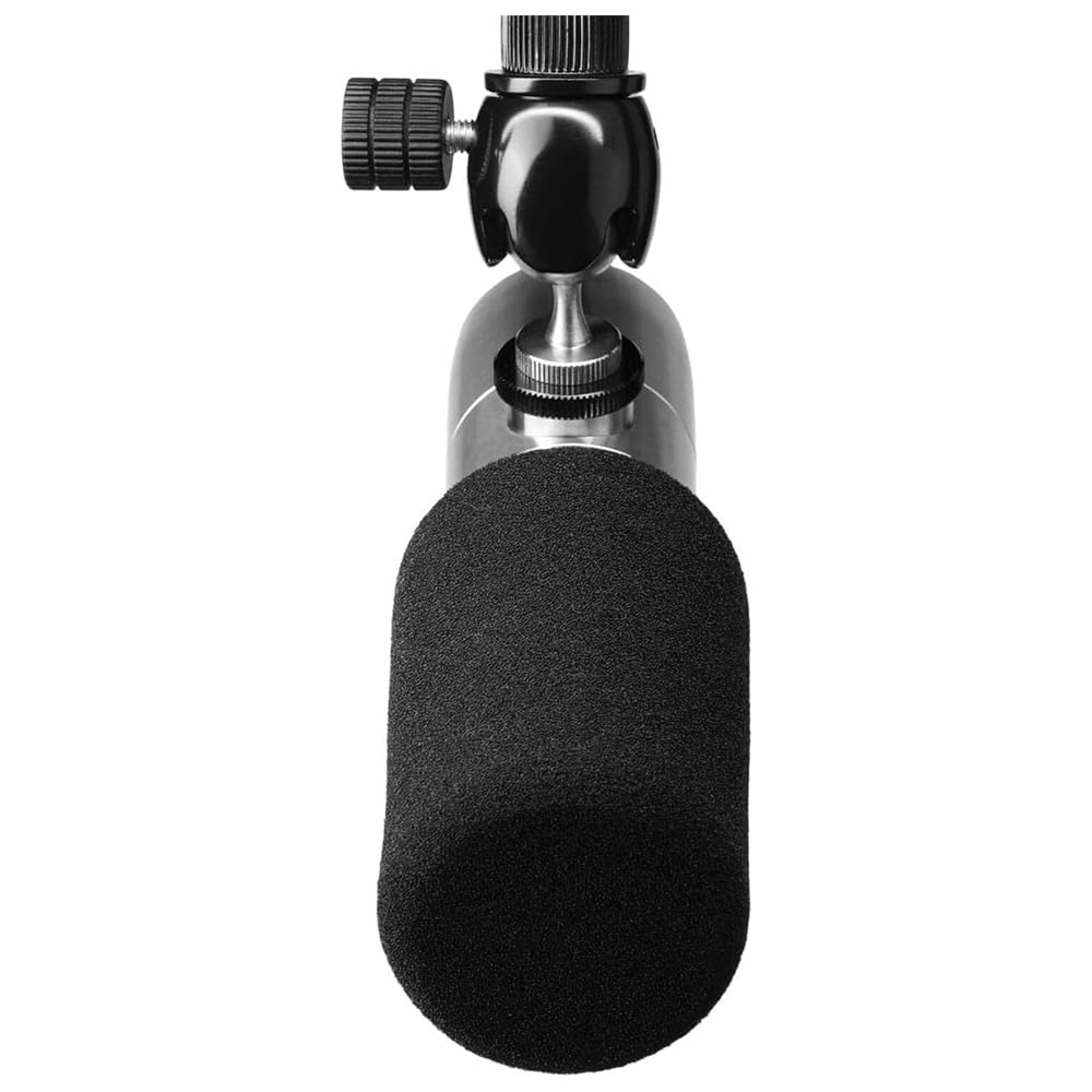 Liquid Audio Earthworks ETHOS Streaming & Broadcasting Microphone Silver Bundle with 10ft Pig Hog Microphone Cable & Polishing Cloth – Broadcast-Grade Dynamic Mic for Voice, Podcasting & Streaming