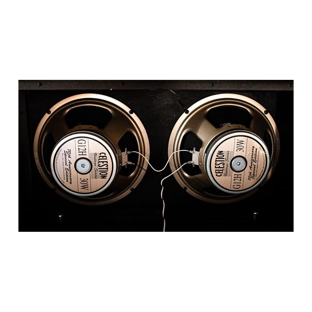 EVH 5150III 2x12" 60-watt Extension Cabinet - Black Stealth