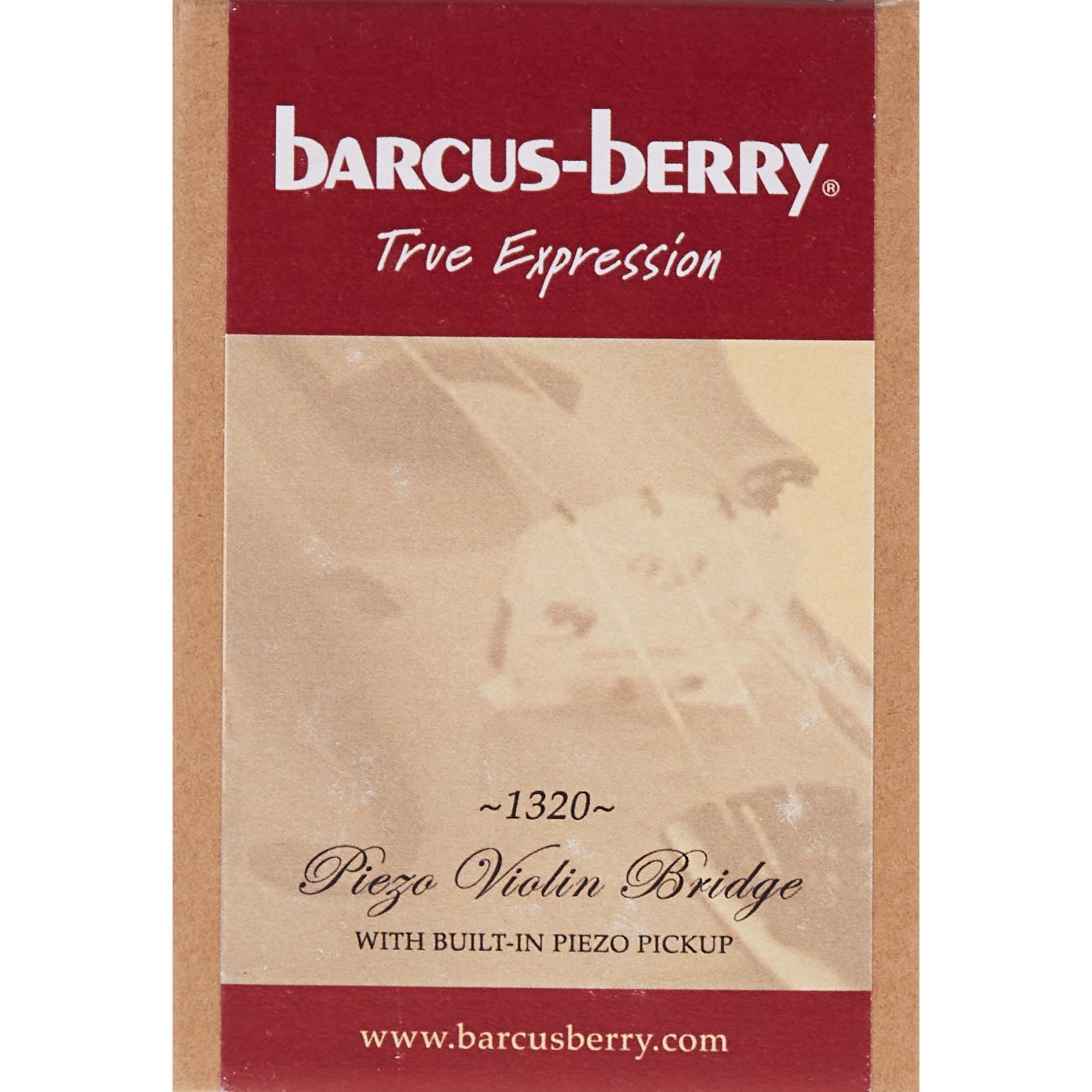 Barcus Berry, 1-String Electric Violin, (1320)