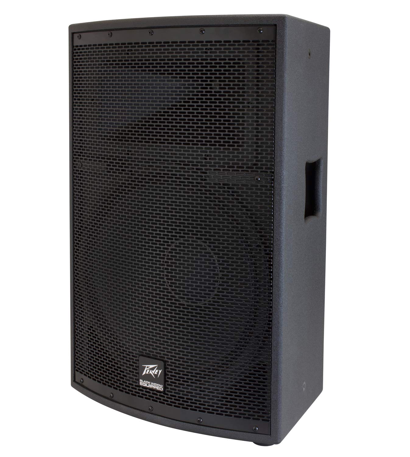 Peavey SP 2 1000-Watt 2-Way PA Speaker