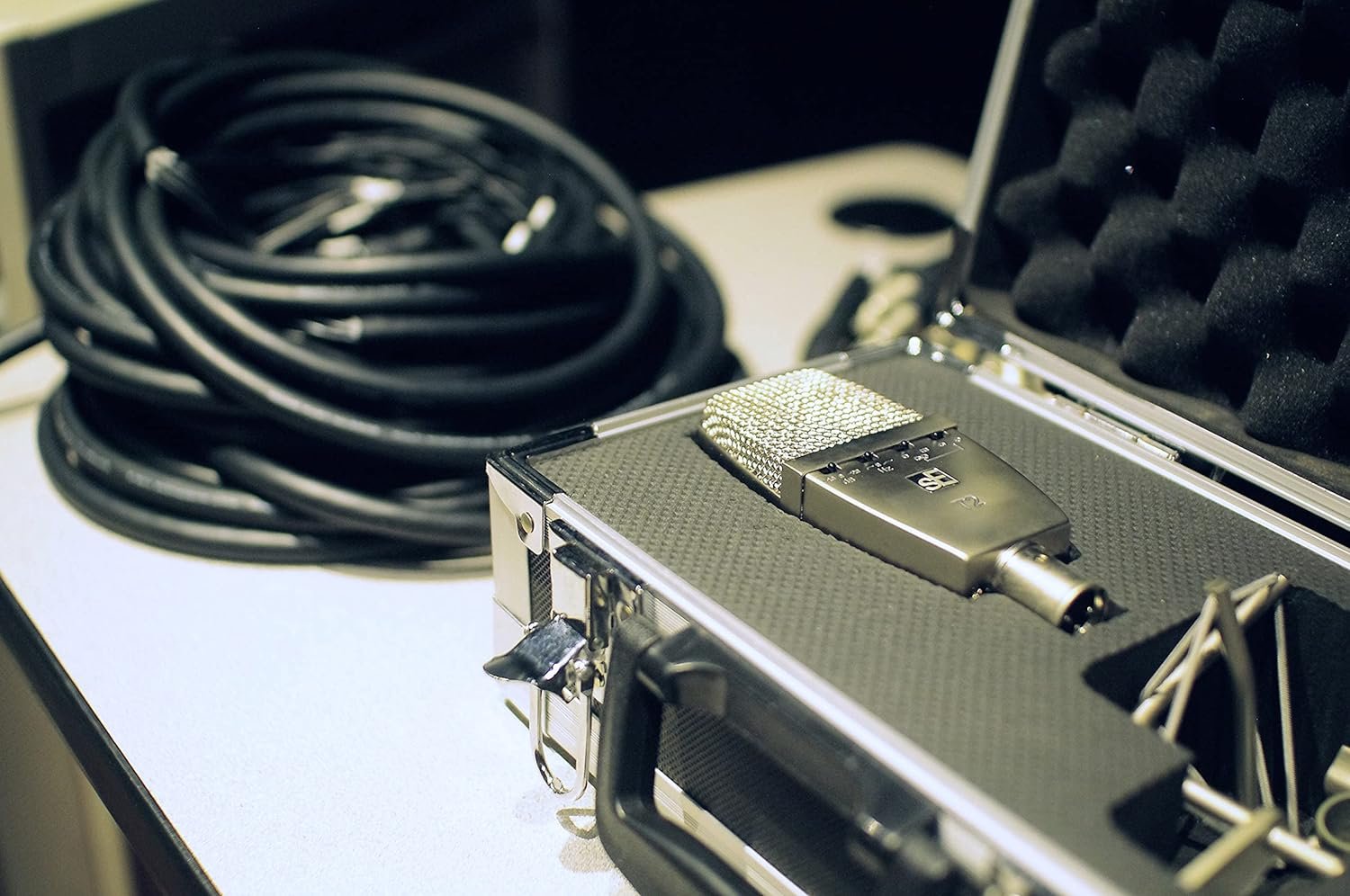 SE Electronics Professional Condenser Microphone Series