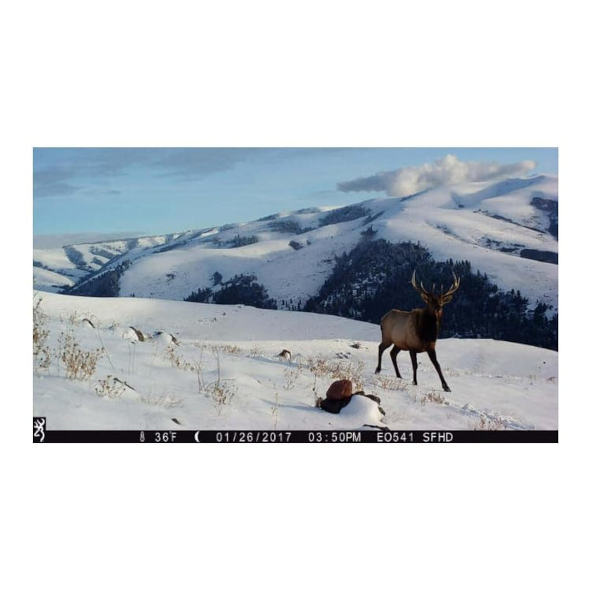 Browning Trail Cameras Strike Force Pro X 1080 Full HD (Camo)