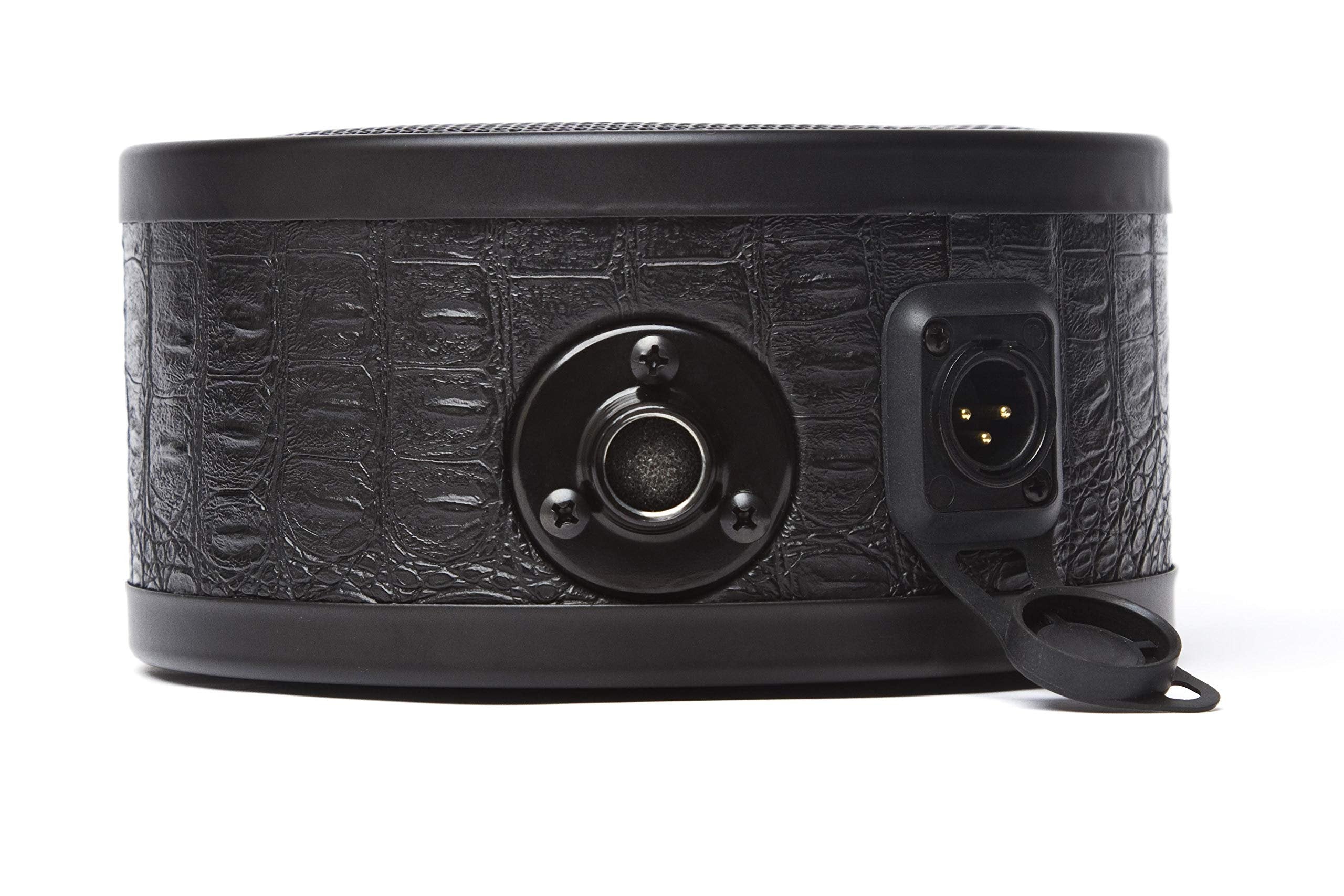 Solomon LoFReQ Sub-Style Dynamic Microphone - Daru Jones Signature Neo Blaq