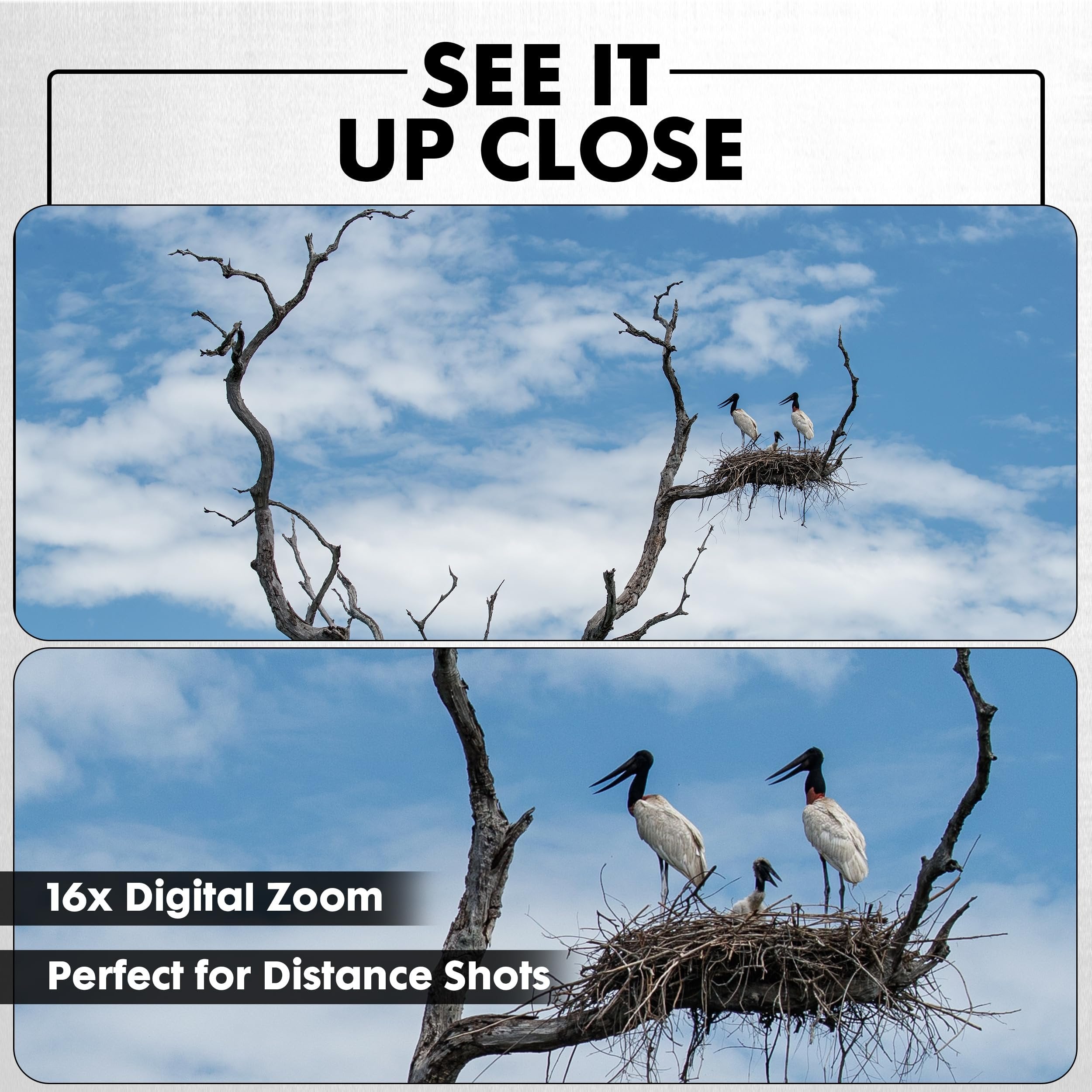 Minolta 64MP Digital Camera – 4K Ultra HD Video at 60FPS, 16x Digital Zoom, WiFi, CMOS Sensor, 3-inch LCD Display, Auto Exposure - Includes 32GB Memory Card, Rechargeable Battery (Blue)