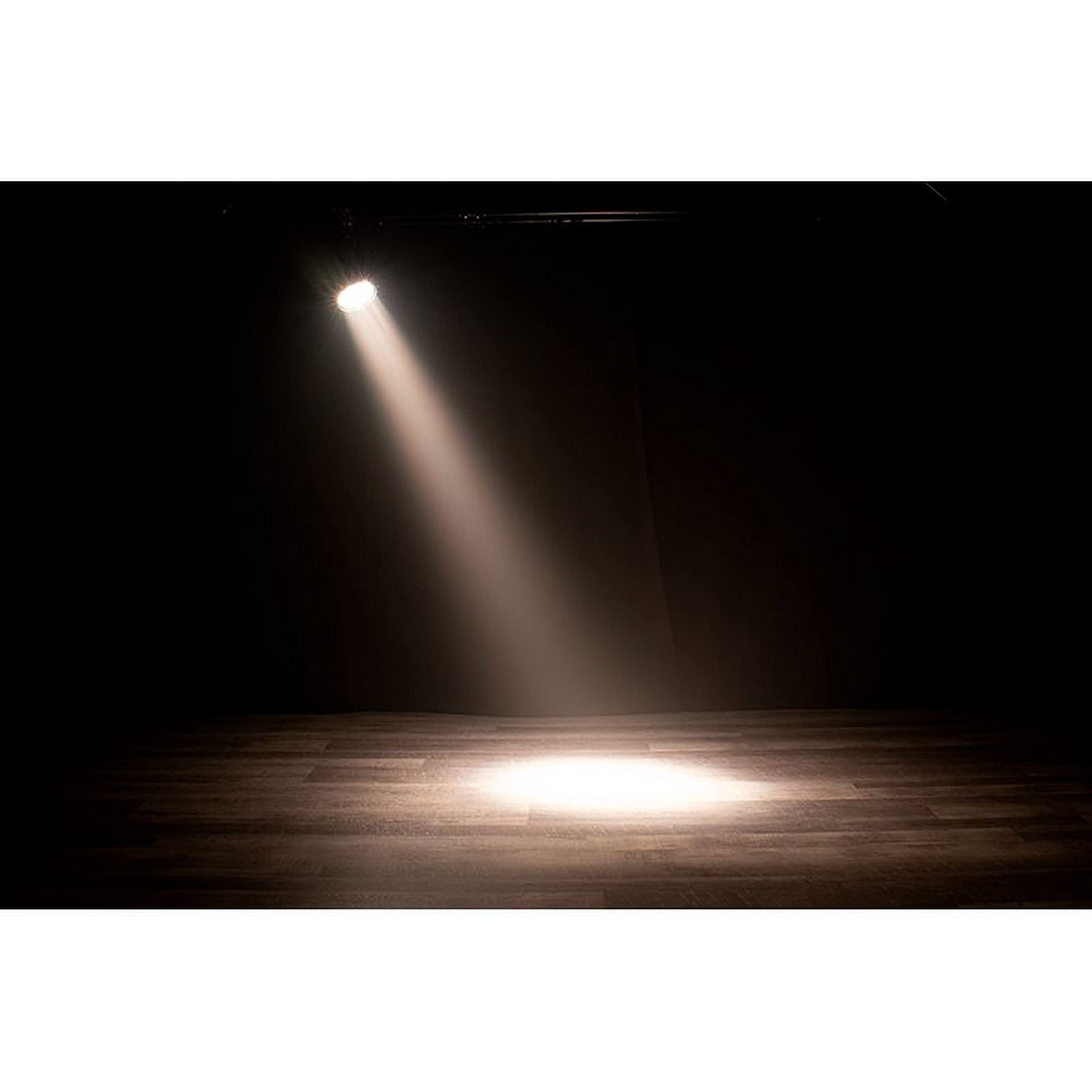 American DJ Encore LP12IP 12 x 20W IP65 Outdoor RGBL LED DMX Par Can Wash Light