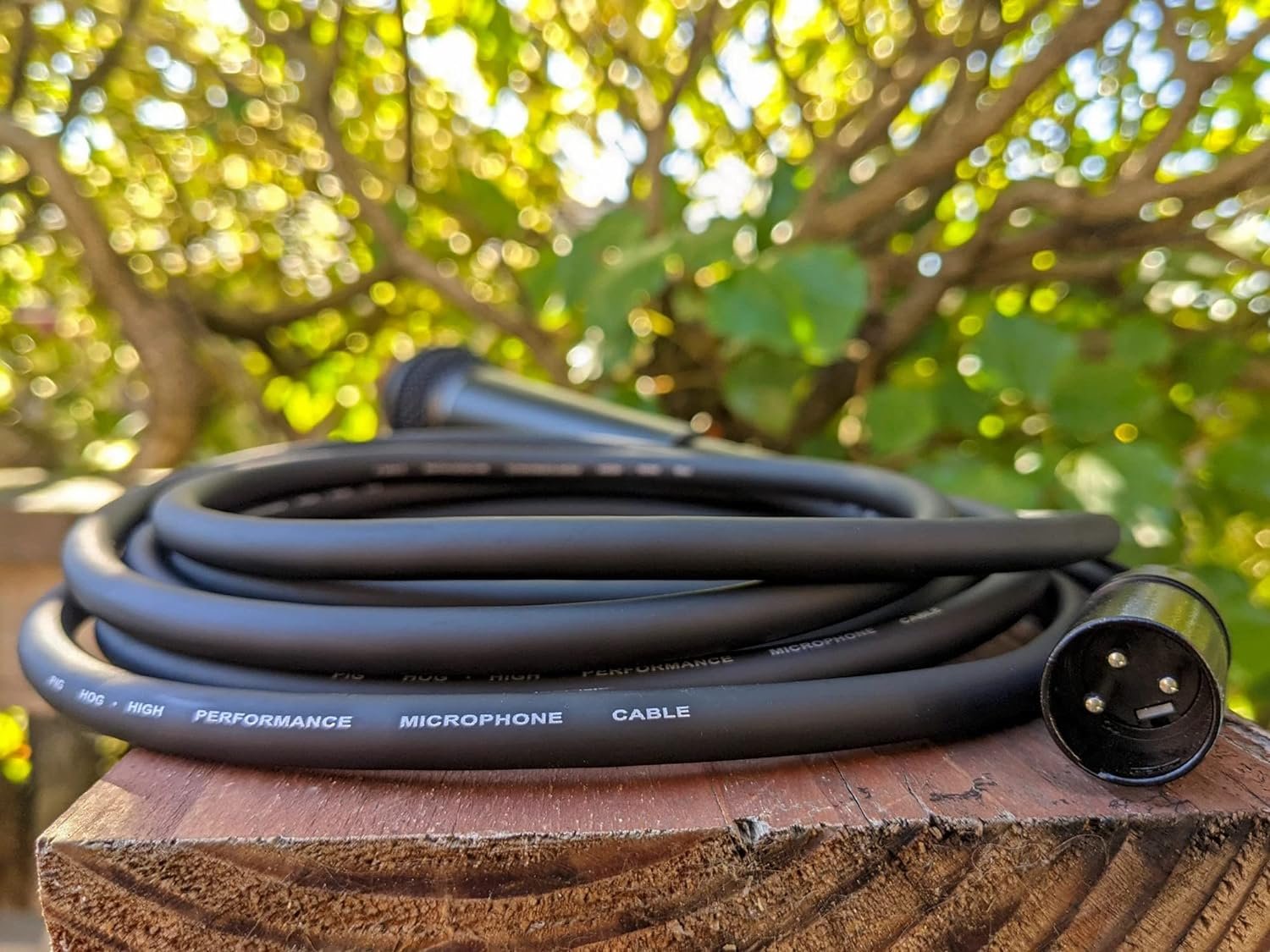 Pig Hog PHM50 Series 50' XLR Microphone Cables 2-Pack