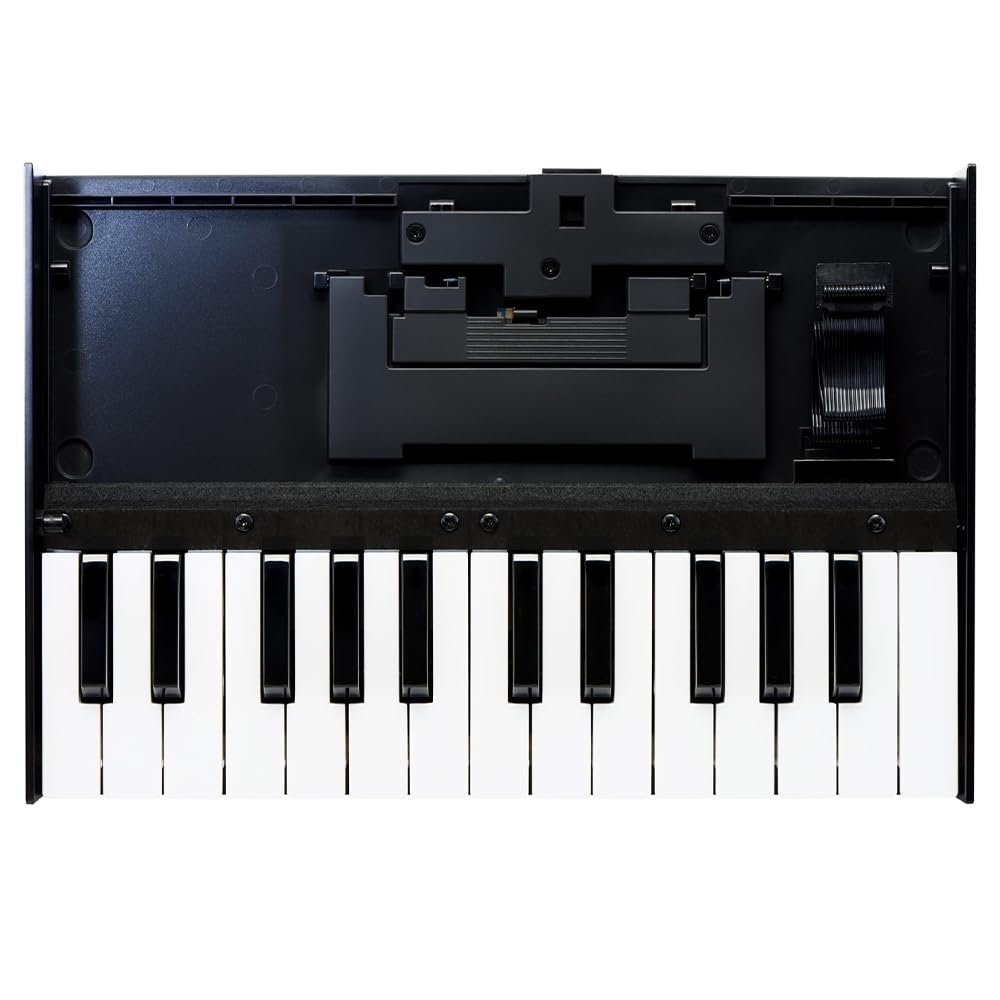 Roland K-25M MIDI Keyboard Controller Bundle with 6ft Pig Hog MIDI Cable & Polishing Cloth – 25-Key Boutique Module Dock with USB, Velocity Sensitivity & Compact 12-Inch Design