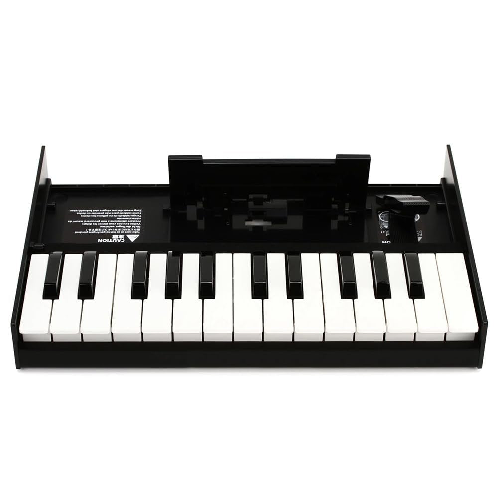 Roland K-25M MIDI Keyboard Controller Bundle with 6ft Pig Hog MIDI Cable & Polishing Cloth – 25-Key Boutique Module Dock with USB, Velocity Sensitivity & Compact 12-Inch Design