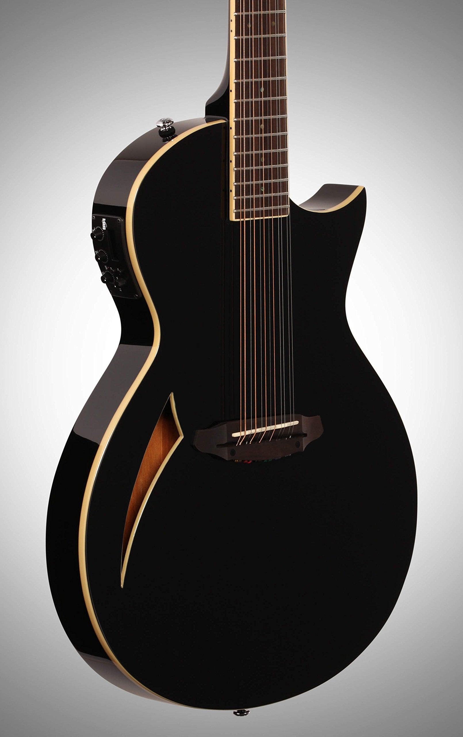 ESP LTD TL Series Thinline Acoustic-Electric Guitar