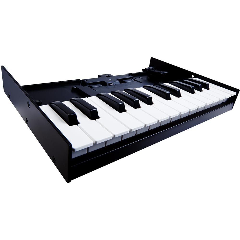 Roland K-25M MIDI Keyboard Controller Bundle with 6ft Pig Hog MIDI Cable & Polishing Cloth – 25-Key Boutique Module Dock with USB, Velocity Sensitivity & Compact 12-Inch Design