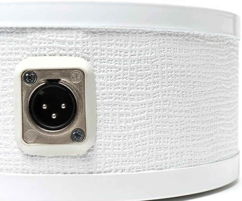 LoFReQ Sub Microphone