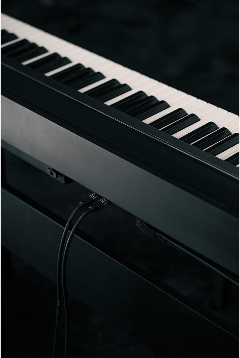 Kawai ES120 88-key Digital Piano with Speakers - Black