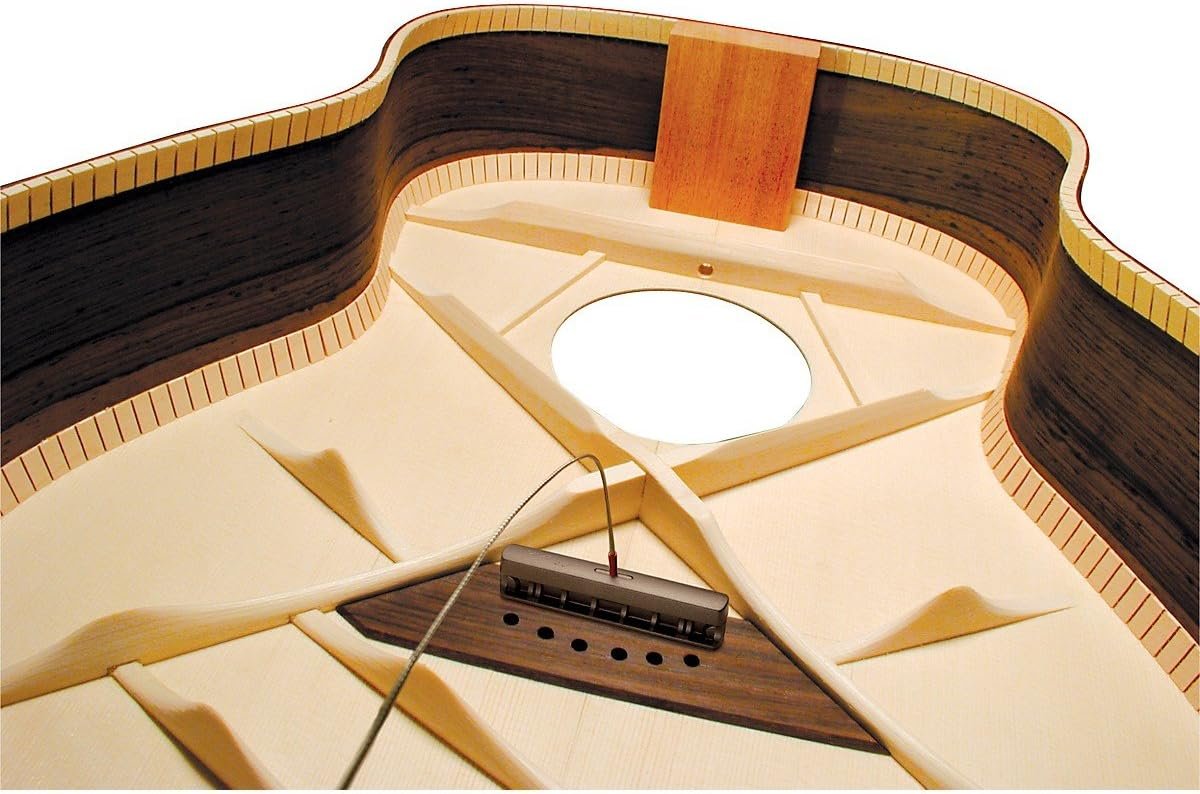 LR Baggs iBeam Active System with Volume Control for Nylon String Guitar