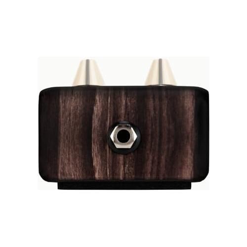 LR Baggs Align Series Delay Acoustic Pedal Bundle w/ 12x Picks and Liquid Audio Polishing Cloth