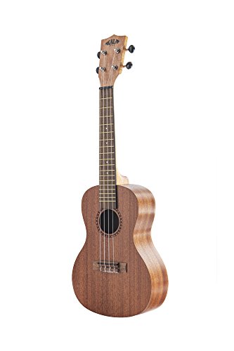 Kala Learn To Play Ukulele Starter Kit (KALA-LTP-S)