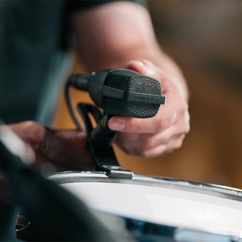 Sennheiser Professional MD 421