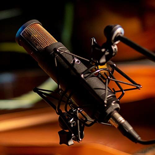 Antelope Audio Edge Solo Microphone - Thumbnail 5