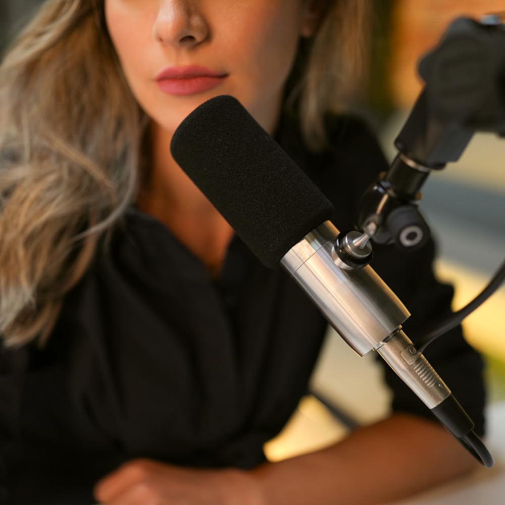 Liquid Audio Earthworks ETHOS Streaming & Broadcasting Microphone Silver Bundle with 10ft Pig Hog Microphone Cable & Polishing Cloth – Broadcast-Grade Dynamic Mic for Voice, Podcasting & Streaming