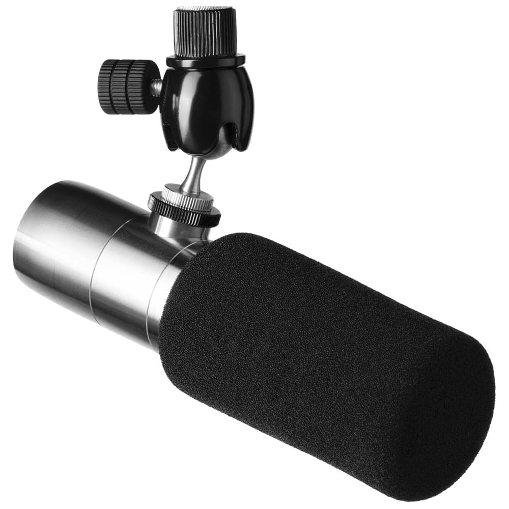 Liquid Audio Earthworks ETHOS Streaming & Broadcasting Microphone Silver Bundle with 10ft Pig Hog Microphone Cable & Polishing Cloth – Broadcast-Grade Dynamic Mic for Voice, Podcasting & Streaming