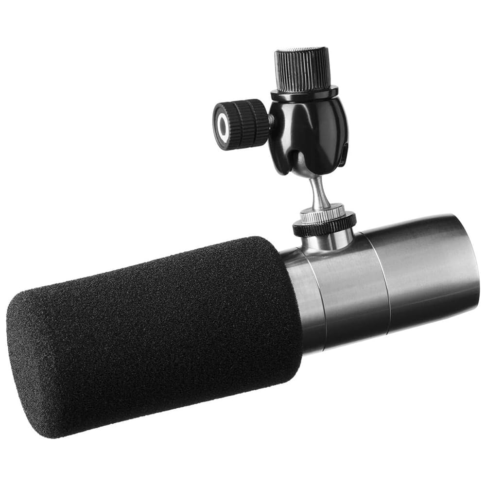 Liquid Audio Earthworks ETHOS Streaming & Broadcasting Microphone Silver Bundle with 10ft Pig Hog Microphone Cable & Polishing Cloth – Broadcast-Grade Dynamic Mic for Voice, Podcasting & Streaming