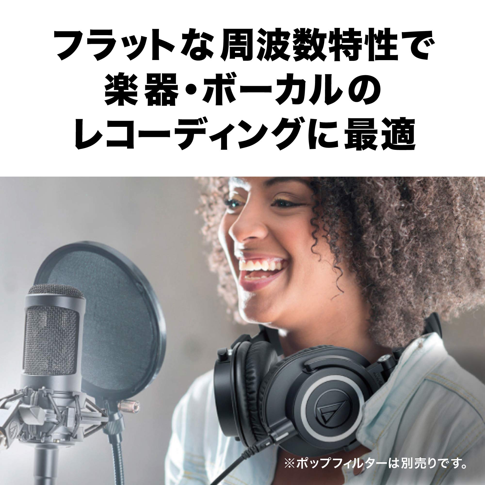 Audio-Technica Condenser Microphone, Black (AT2035)