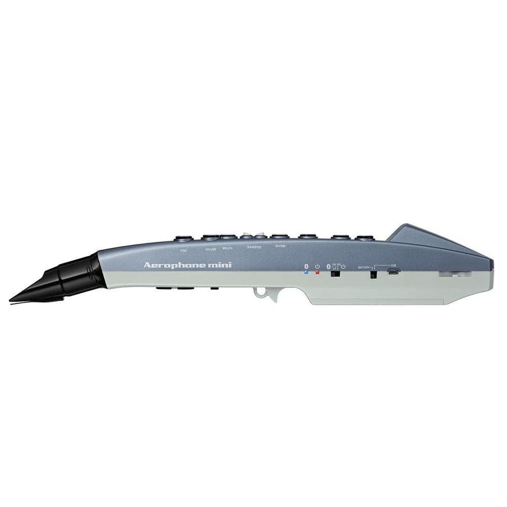 Roland AE-01 Aerophone Mini Digital Wind Instrument Blue Bundle with 10ft Pig Hog Black Woven Instrument Cable & Polishing Cloth – Compact Electronic Wind Controller with Built-In Sounds