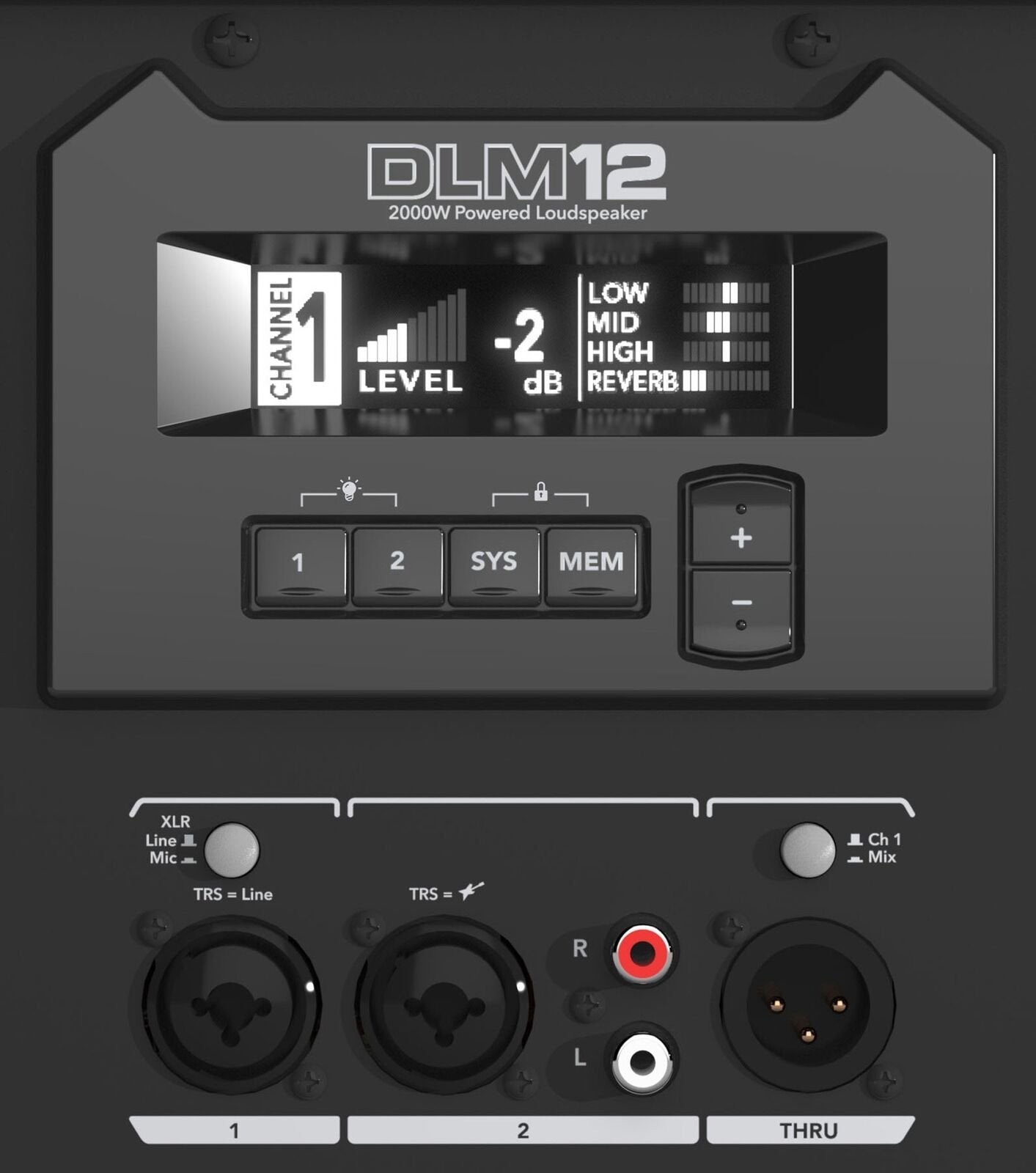 Mackie DLM Series Powered Speaker