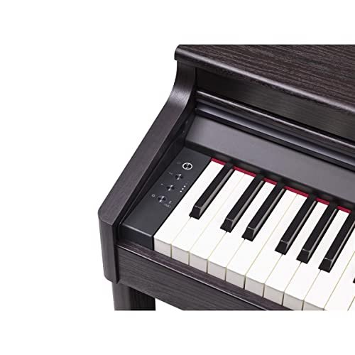 Roland RP701 88-Key Digital Piano
