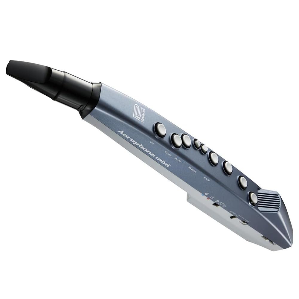 Roland AE-01 Aerophone Mini Digital Wind Instrument Blue Bundle with 10ft Pig Hog Black Woven Instrument Cable & Polishing Cloth – Compact Electronic Wind Controller with Built-In Sounds