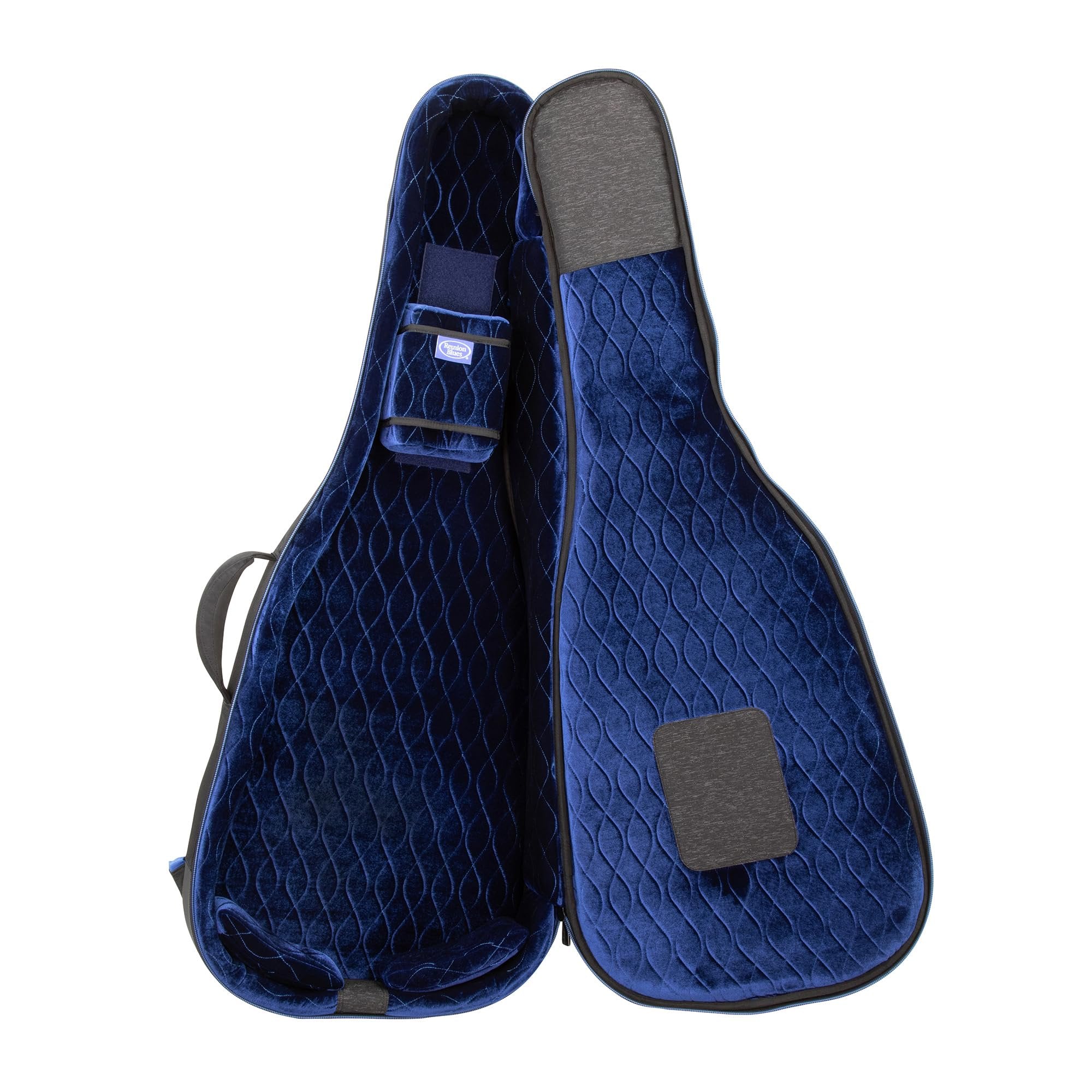 Reunion Blues RB Expedition Semi Hollow Case