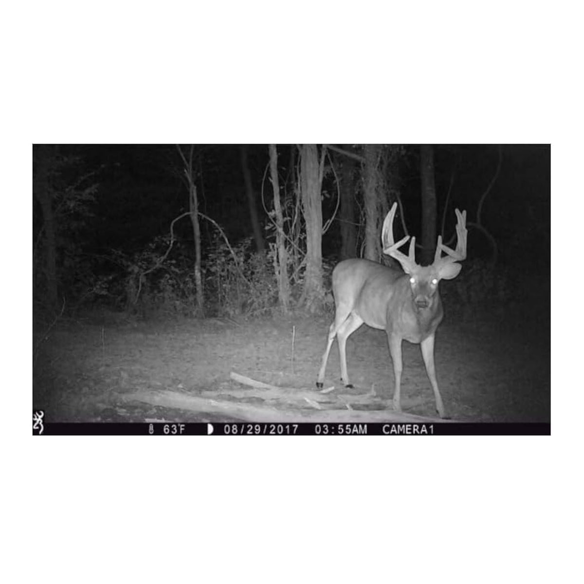 Browning Trail Cameras Strike Force Pro X 1080 Full HD (Camo)