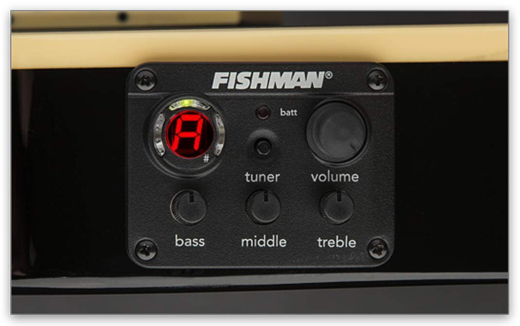 ESP LTD TL Series Thinline Acoustic-Electric Guitar